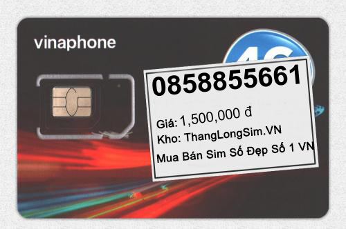 0858855661