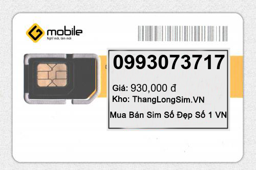 0993073717