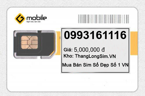 0993161116