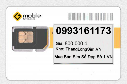 0993161173